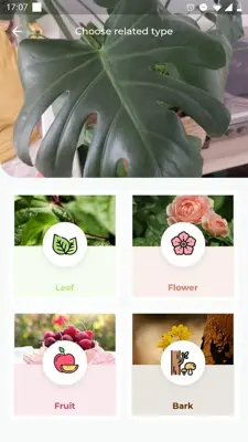 LeafSnap android App screenshot 1